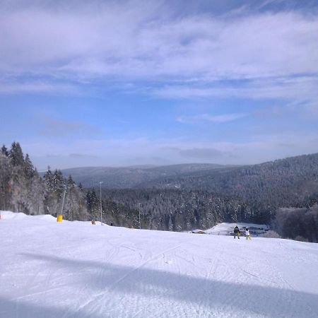 Apartment In Schnett Near The Ski Area Zewnętrze zdjęcie